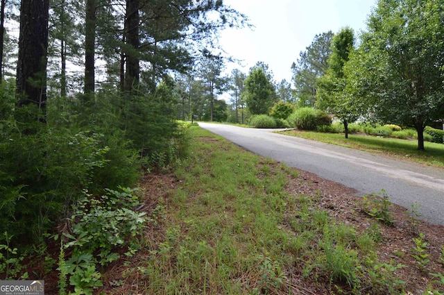 LOT50 Pinehurst, Blairsville GA, 30512 land for sale