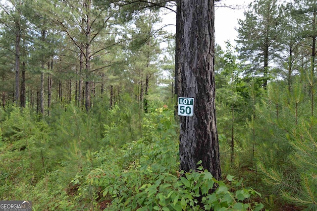 Listing photo 3 for LOT50 Pinehurst, Blairsville GA 30512