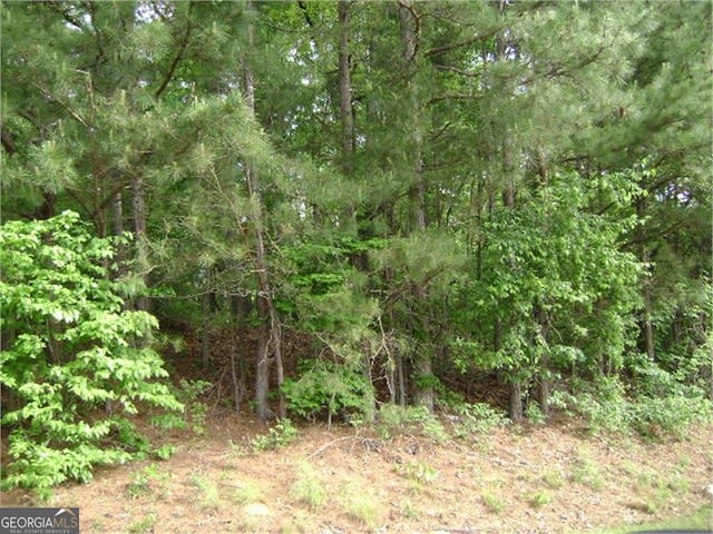 Listing photo 3 for 0 Wheeler Cemetery Rd, Maysville GA 30558