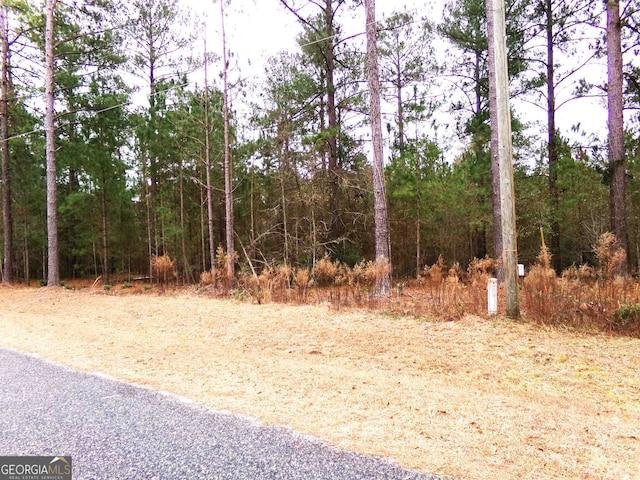 LOT9 Timberland Trl Lot # 9, Swainsboro GA, 30401 land for sale