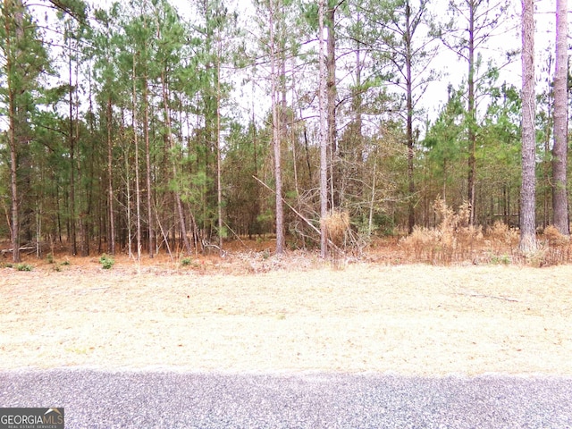 Listing photo 2 for LOT9 Timberland Trl Lot # 9, Swainsboro GA 30401