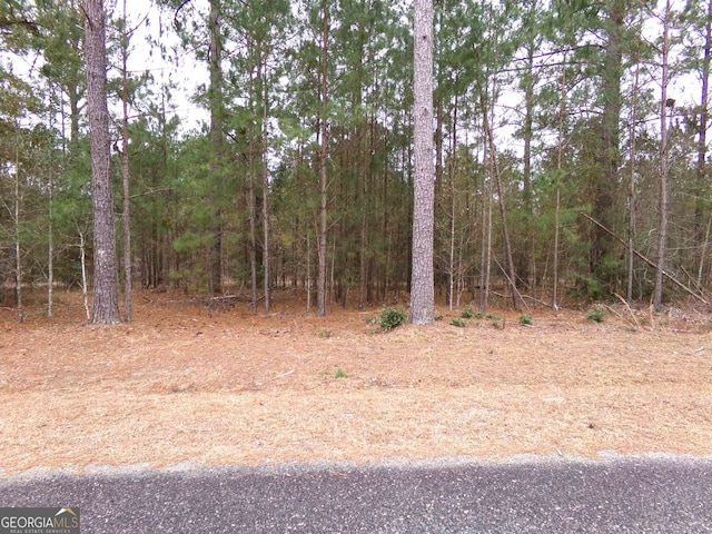 Listing photo 3 for LOT9 Timberland Trl Lot # 9, Swainsboro GA 30401