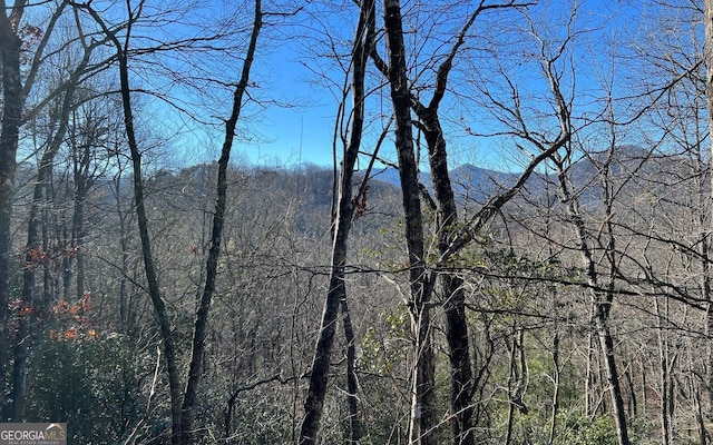 LOT33 Fodder Creek Mill Dr, Hiawassee GA, 30546 land for sale