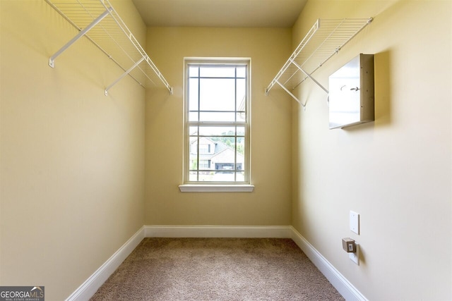 walk in closet featuring light carpet