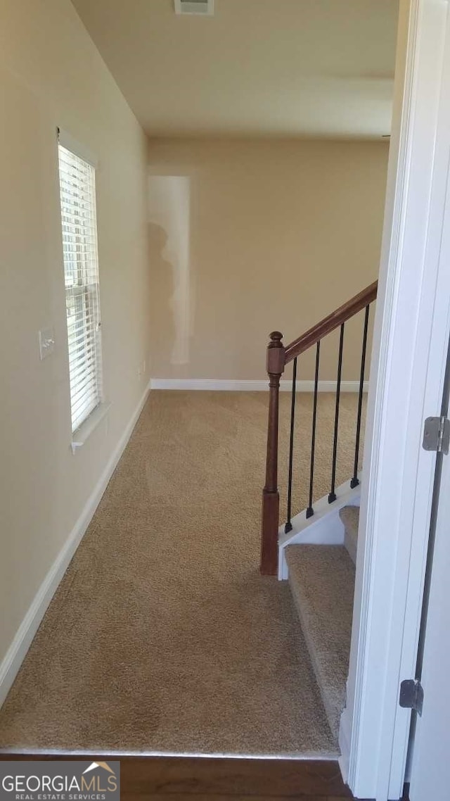 staircase featuring dark colored carpet