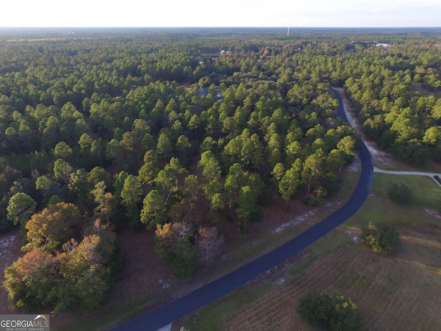 Listing photo 3 for 0 Coopers Point Dr Lot 71, Townsend GA 31331