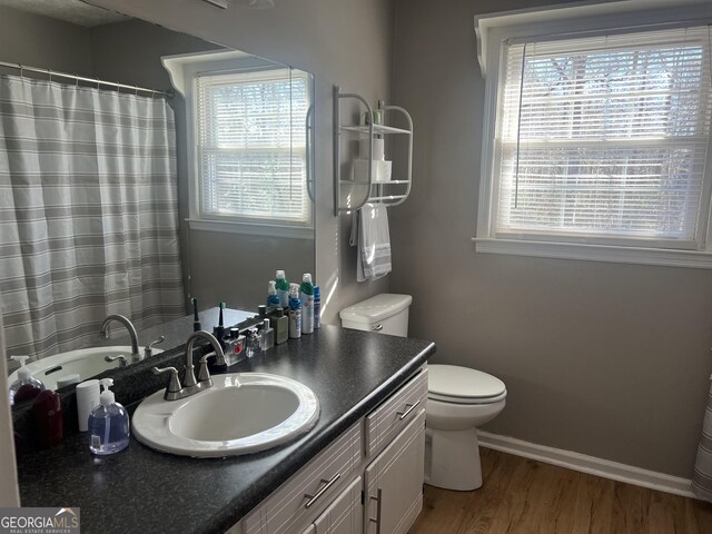 bathroom featuring hardwood / wood-style flooring, a wealth of natural light, and vanity