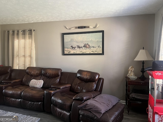 living room featuring wood-type flooring and a textured ceiling