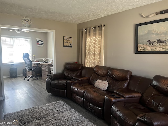 living room featuring ceiling fan, wood-type flooring, and a textured ceiling