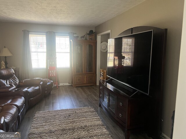 living room featuring a textured ceiling and dark hardwood / wood-style flooring