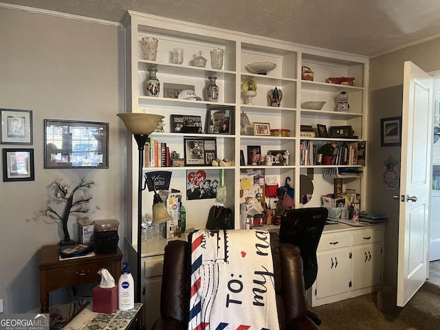 view of carpeted home office