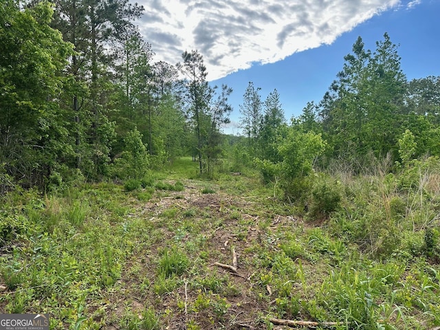 0 Satcher Rd # 1, Taylorsville, GA 30178