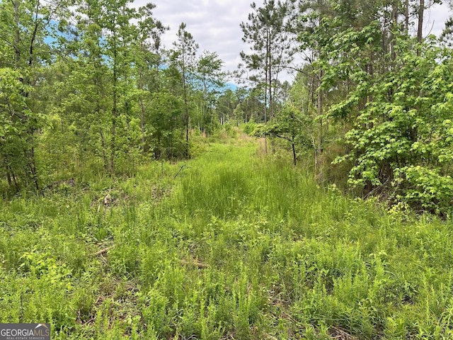 0 Satcher Rd # 1, Taylorsville, GA 30178