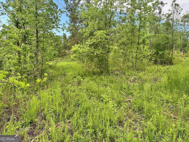 0 Satcher Rd # 1, Taylorsville, GA 30178