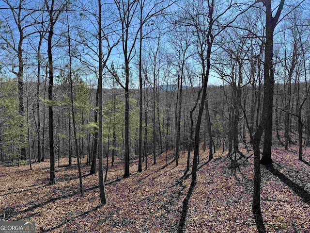 Listing photo 2 for 0 Harris Creek Dr, Lot Ellijay GA 30540