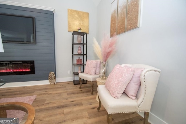 living area with light wood-type flooring and a large fireplace