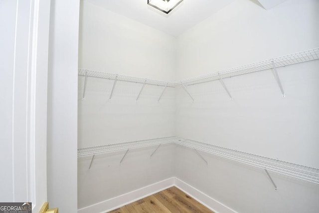 spacious closet featuring hardwood / wood-style flooring