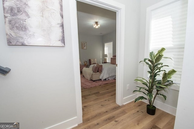 hall featuring light hardwood / wood-style floors