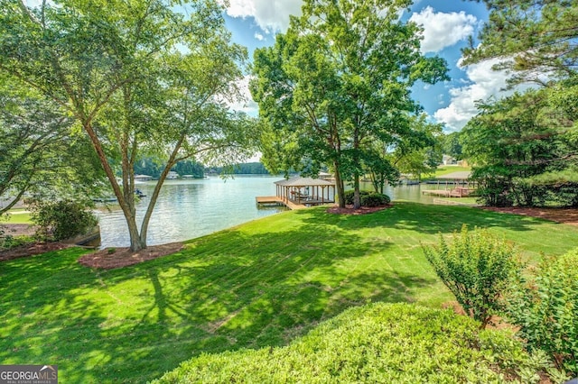 228 Harris Rd, Jackson, GA 30233 - view of yard with a water view and a dock