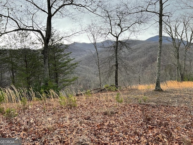 LOT137 Shiloh Rdg, Hayesville, NC 28904