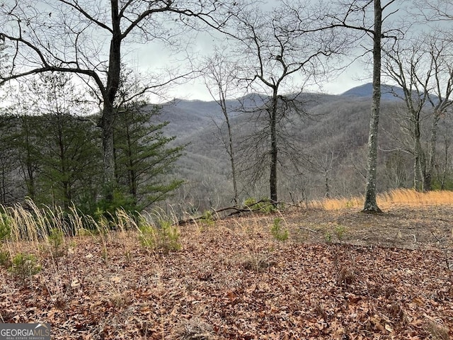 LOT137 Shiloh Rdg, Hayesville NC, 28904 land for sale