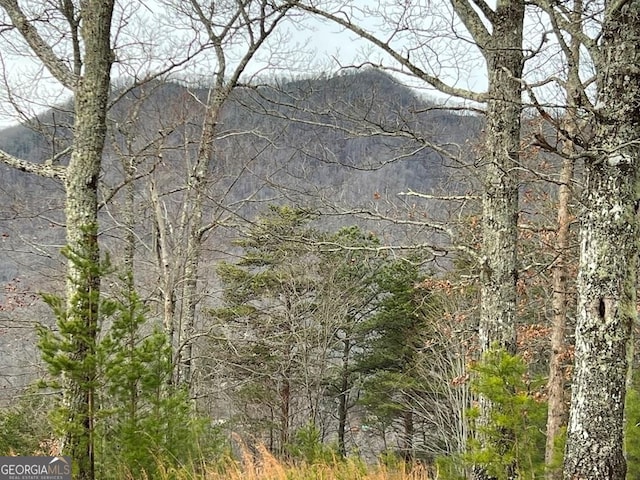 Listing photo 3 for LOT137 Shiloh Rdg, Hayesville NC 28904