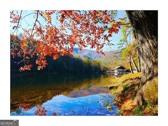 water view with a mountain view