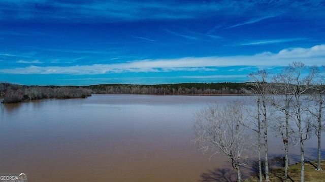 view of property view of water