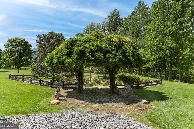 view of community featuring a yard