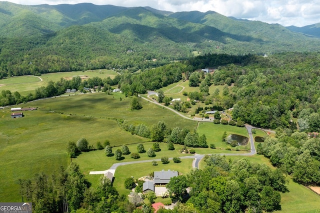 drone / aerial view with a mountain view