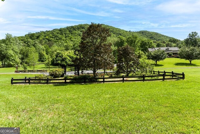 view of property's community featuring a mountain view and a yard