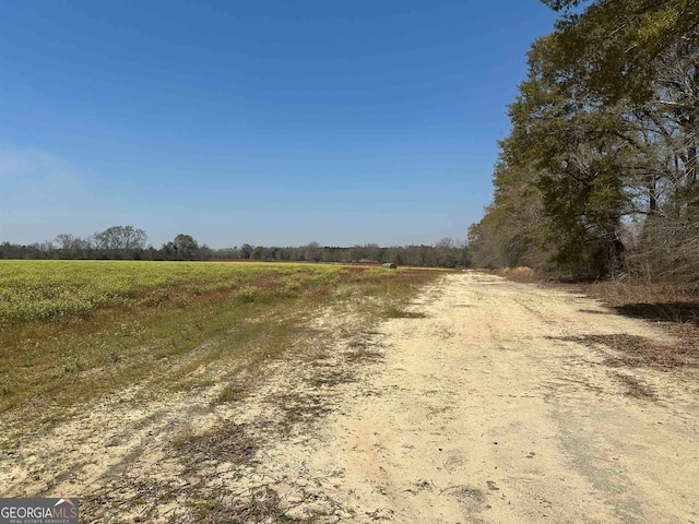 Listing photo 3 for 0 Seaborn Vickery Rd, Statesboro GA 30461