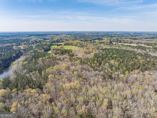 view of bird's eye view