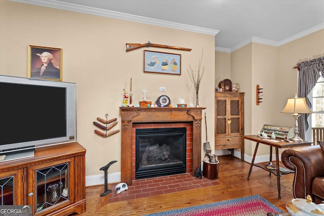 living room featuring crown molding and dark wood-type flooring