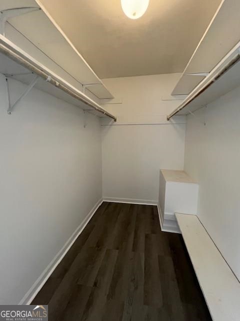 walk in closet featuring dark hardwood / wood-style floors