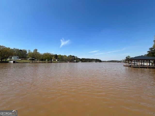 property view of water featuring a boat dock