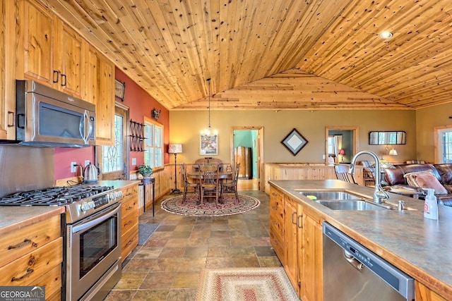 kitchen with vaulted ceiling, stainless steel appliances, sink, and a wealth of natural light