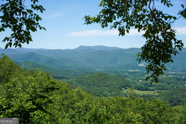 view of mountain feature