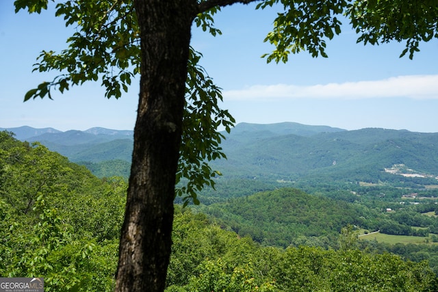 view of mountain feature