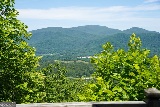 view of mountain feature