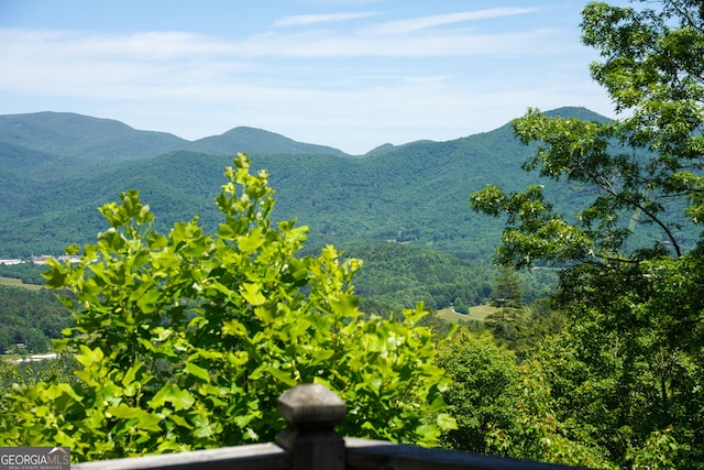 view of mountain feature