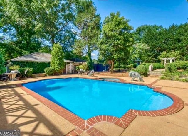 view of swimming pool featuring a patio