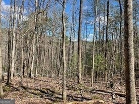 0 Gold Valley Rd, Sautee Nacoochee GA, 30571 land for sale