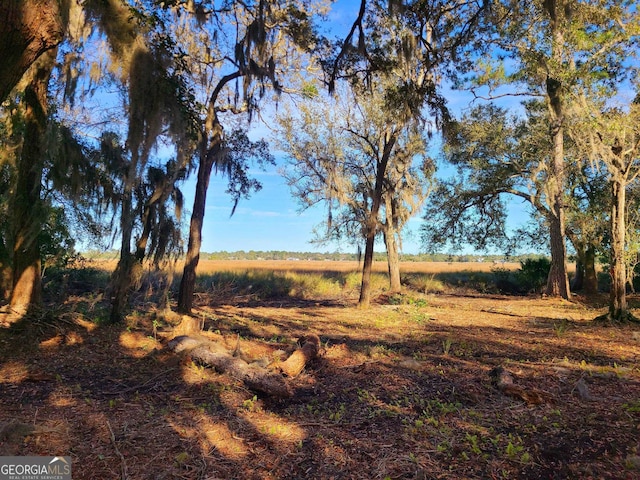 view of local wilderness featuring a rural view