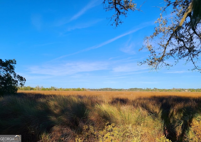 view of nature