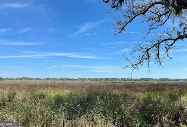 view of local wilderness featuring a rural view