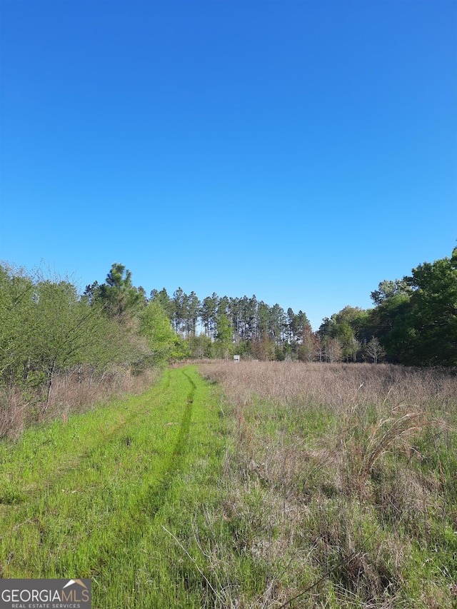 2221 Abbeville Hwy, Hawkinsville, GA 31036
