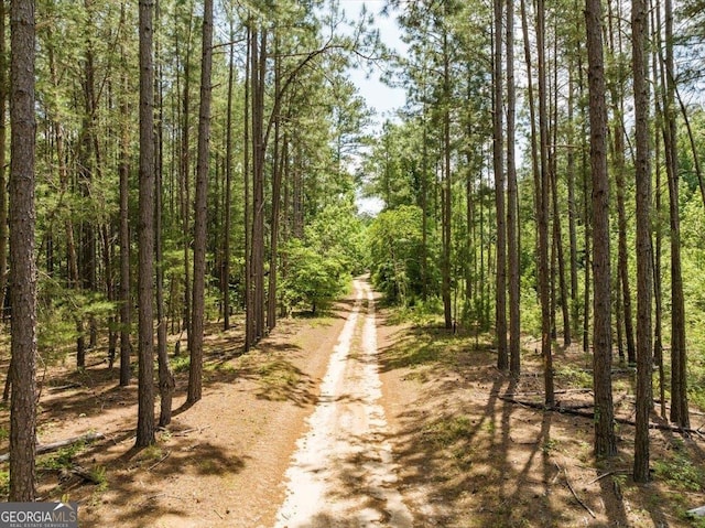 2221 Abbeville Hwy, Hawkinsville, GA 31036
