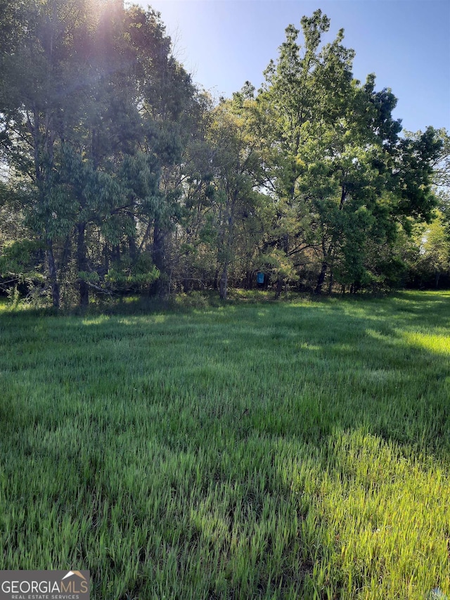 2221 Abbeville Hwy, Hawkinsville, GA 31036