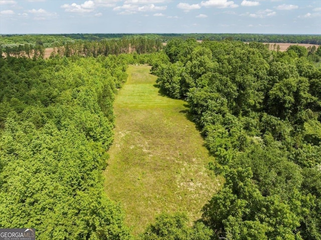 2221 Abbeville Hwy, Hawkinsville, GA 31036